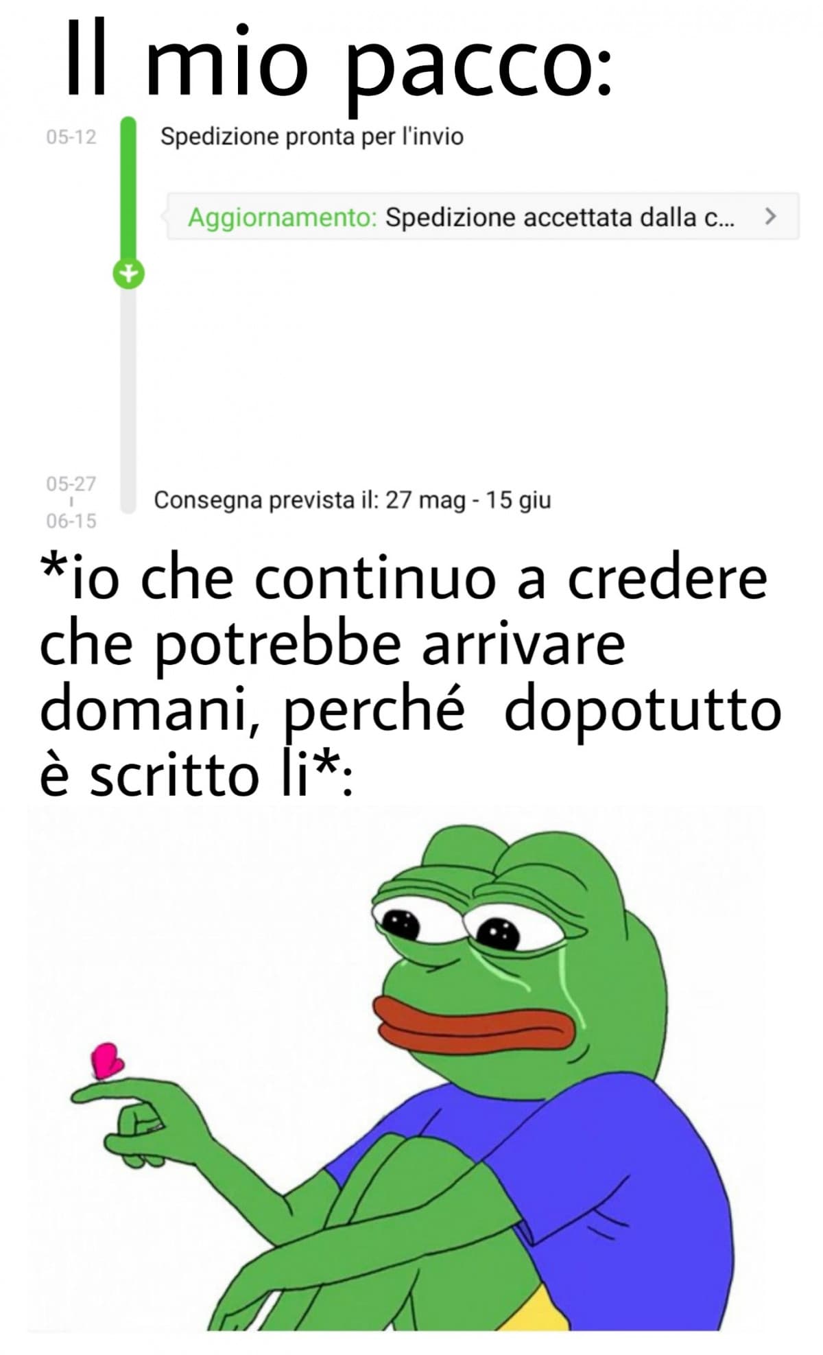 Anche se stiamo parlando di Aliexpress, io ci spero.