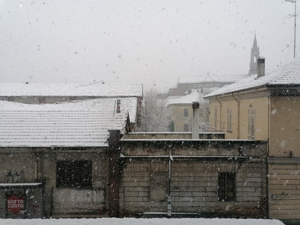 Ahhh, l'amour... L'averla già sentita stamattina mi ha migliorato la giornata insieme alla neve. Vedremo se la sentirò ancora nel corso della giornata