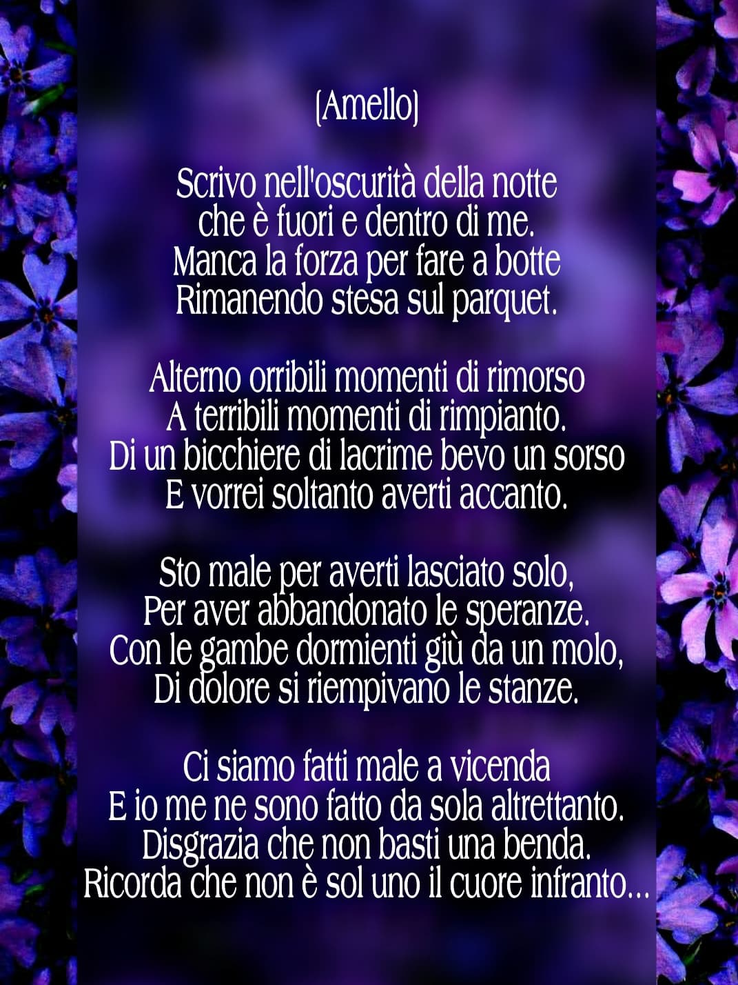 Poesia post-rottura: Aster Amellus?