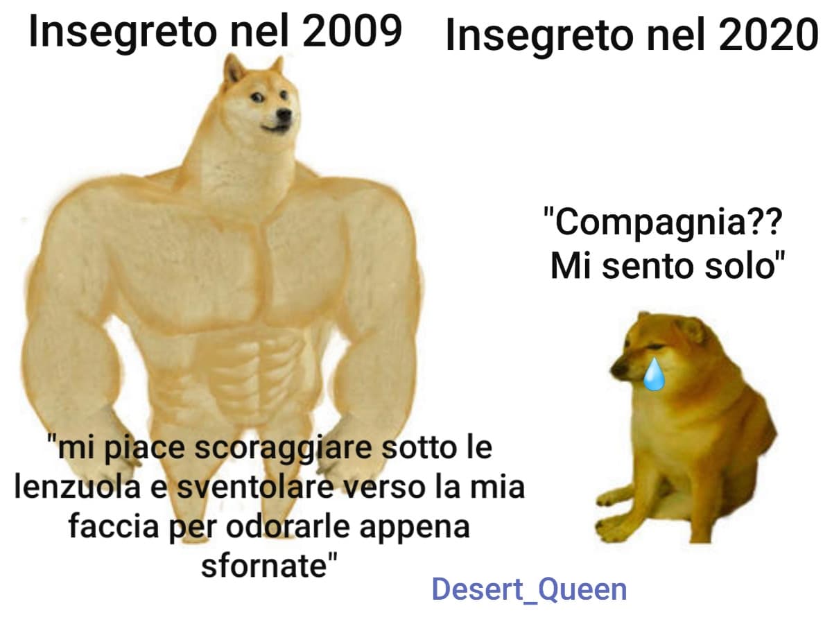 L'epoca d'oro