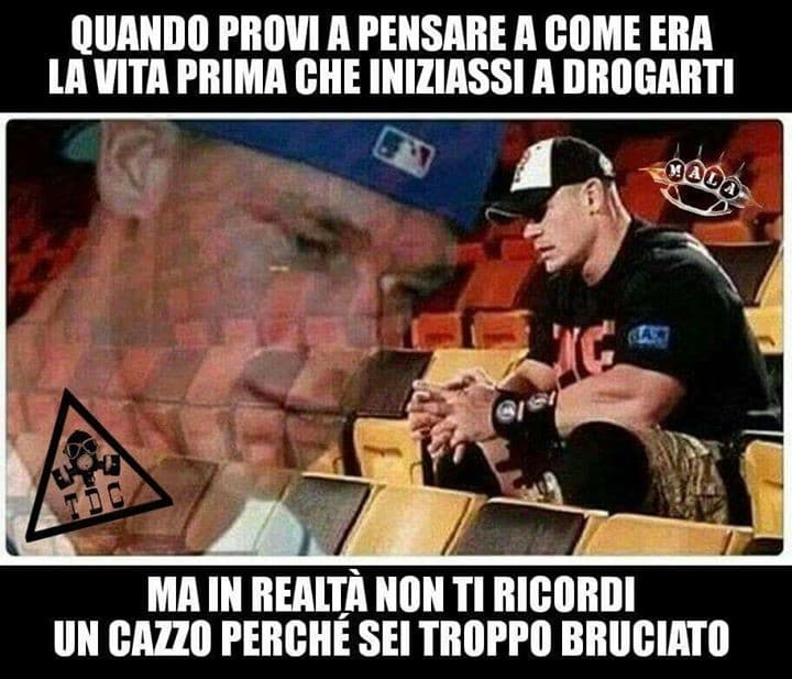 bruciato