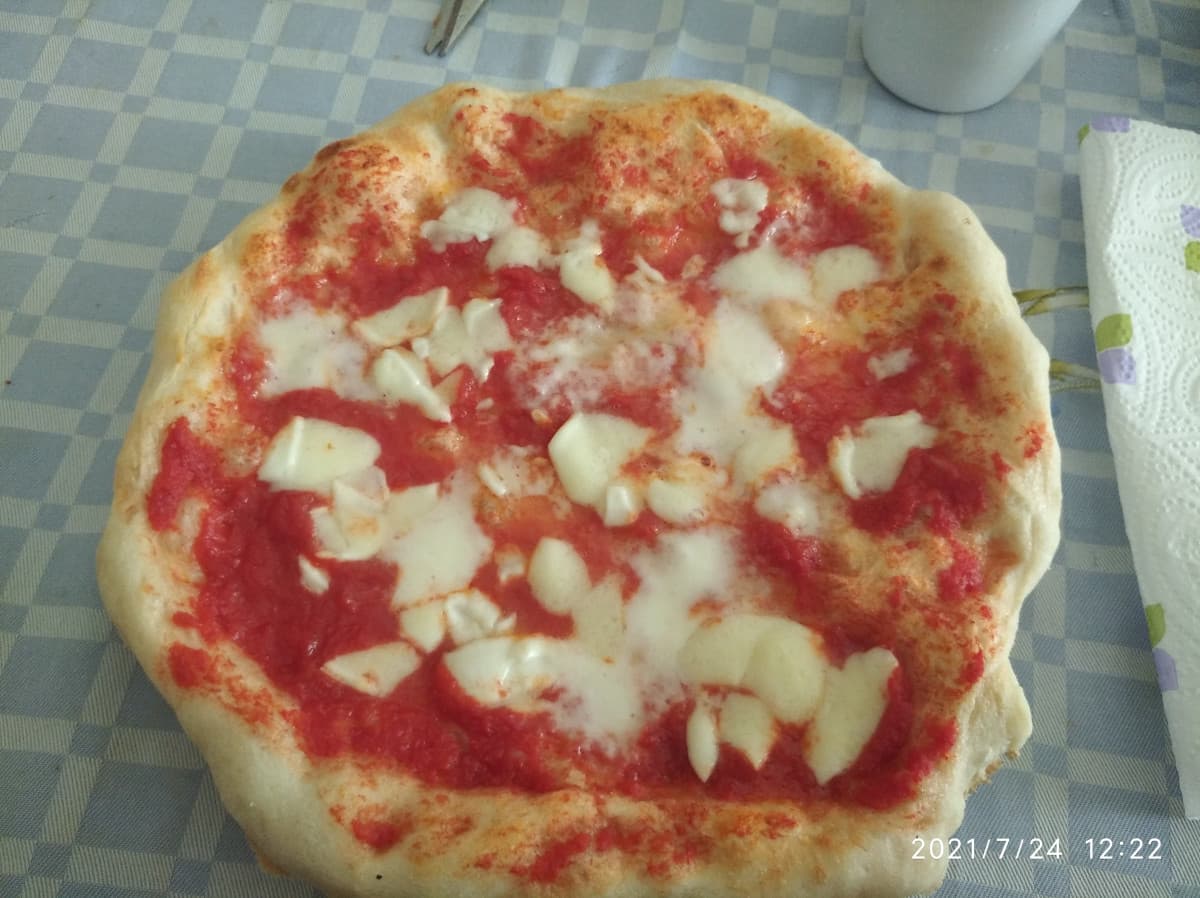 Pizza Casalinga fatta con mozzarella di bufala, pomodoro dell'orto di mio nonno, impasto biologico. Bhe che dire,buon appetito ! 