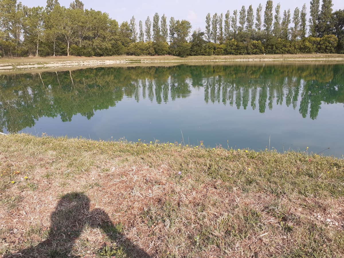 Mattinata al lago per pescare