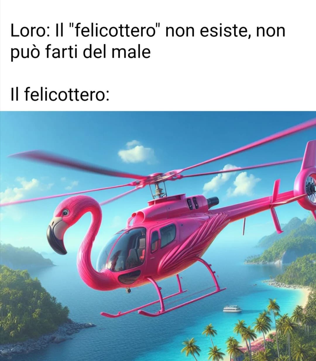 Felicottero