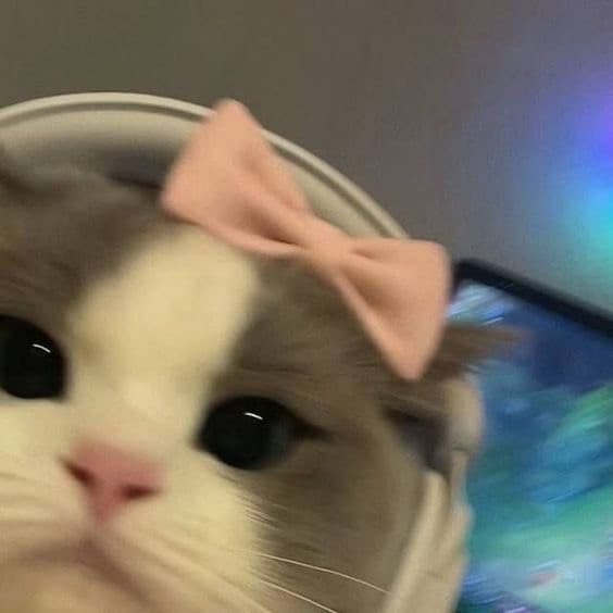 OKAY INIZIAMO IL GIOCO