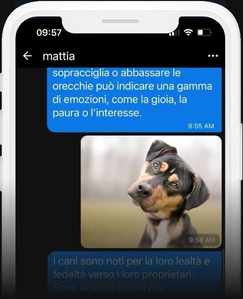 Comunque non so voi ma io mi sto ancora chiedendo chi cazzo sia mattia 