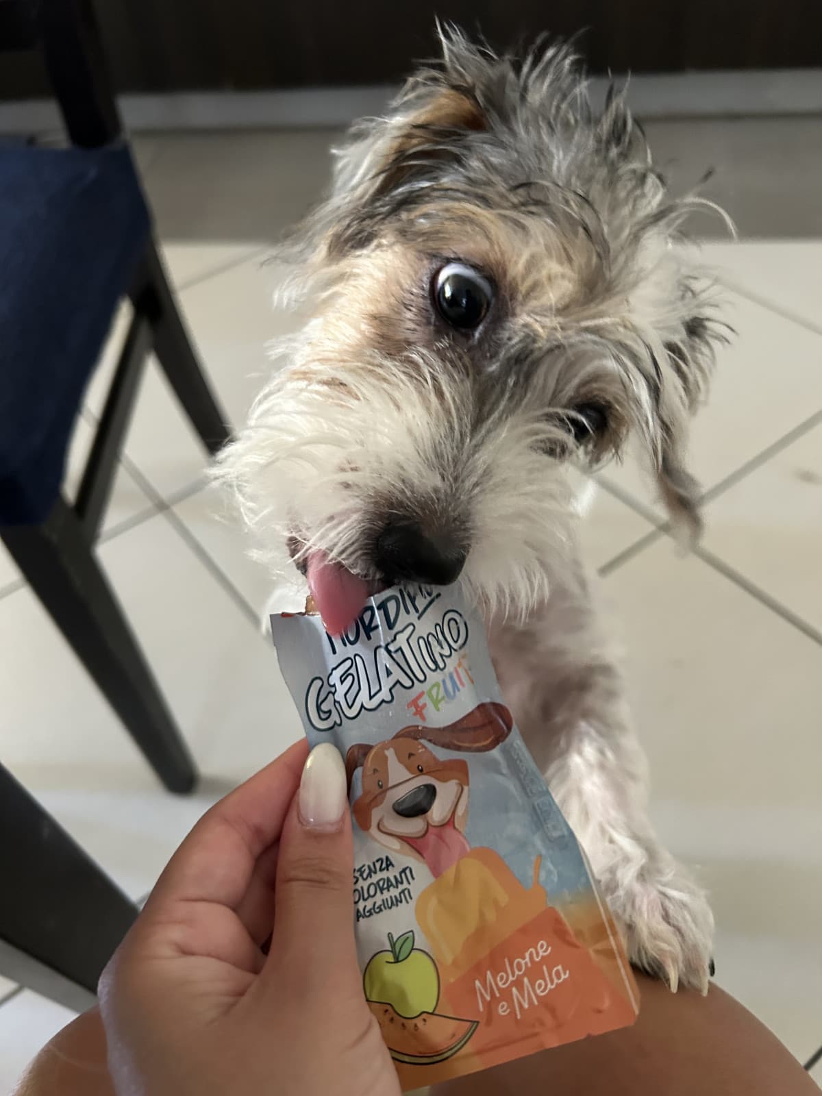 Mi ha svegliata per un gelato