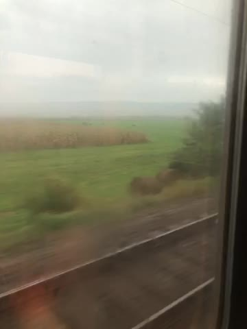 Mi sembra di andare a Chernobyl con sto tempo e con sto treno 