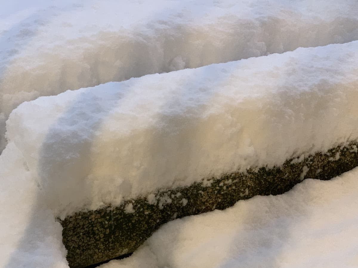 Erano anni che non vedevo così tanta neve nella mia città, ora siamo già a 18cm e dovrebbe continuare fino a stanotte 