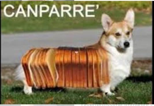 Canparre'