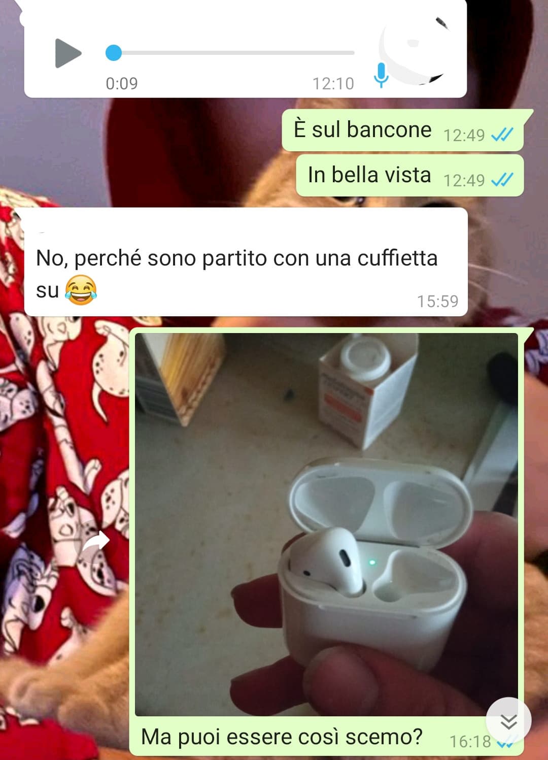 Mio fratello è stupido