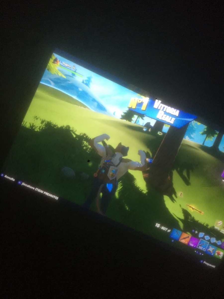 Victory Royale FORTNITEH EEEH E TWERKO
PUREH