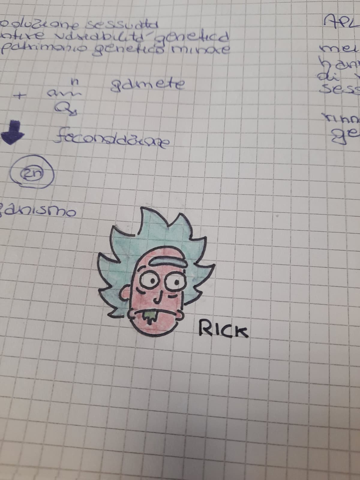 La dedico a voi che avete rick come immagine profilo
