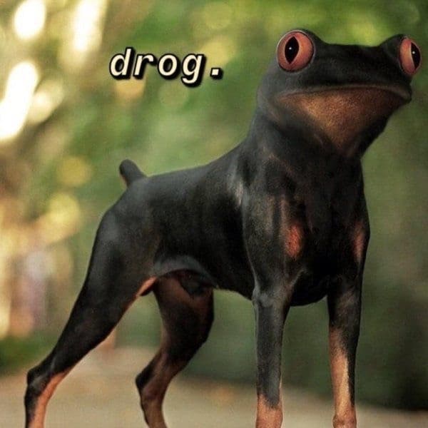 this drog took drugs