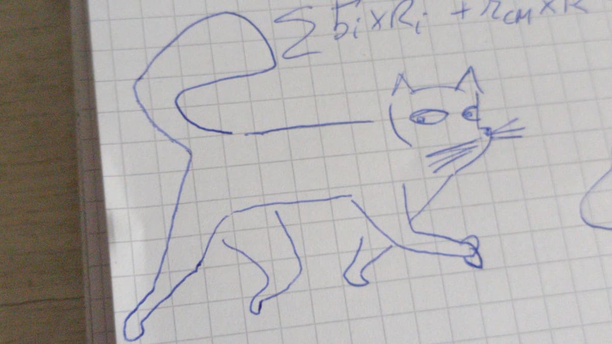 Un gatto che ho disegnato mentre studiavo fisica
