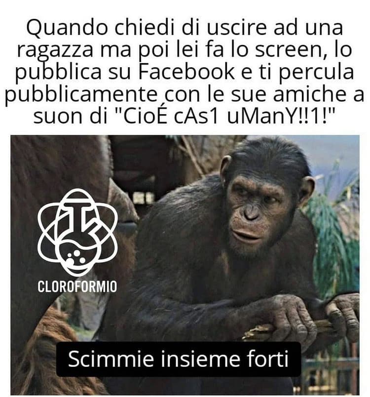 Volevo solo dire che non ho nulla contro le scimmie, per me non dovrebbero avere meno diritti delle donne