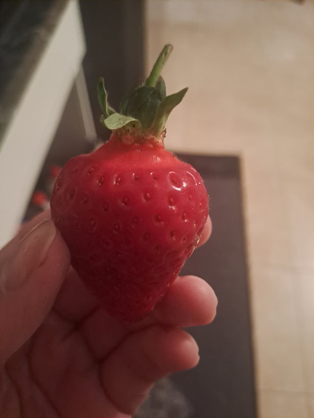 Ciò che mangi definisce ciò che sei, quindi se mangi una ciambella coperta di nutella sei una ciambella, e se mangi una fragola sei una fragola