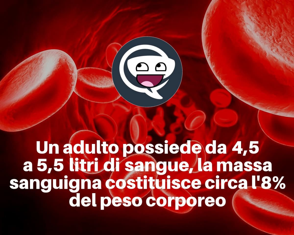 Quanti litri di sangue possiede un adulto?