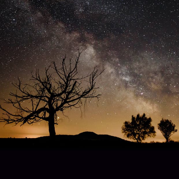 Voi che fate? Io sono da un amico 