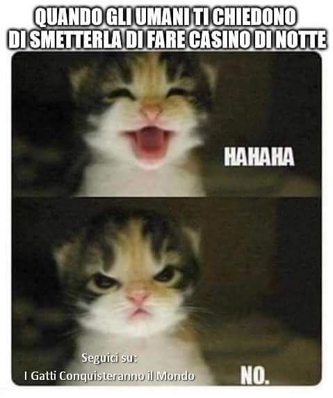 Lo sguardo dice tutto