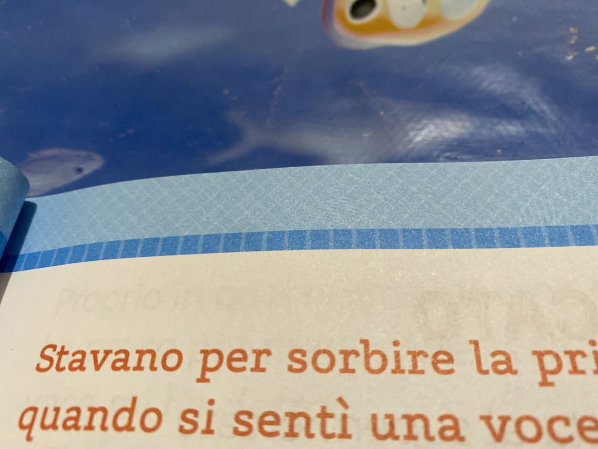 Livello a cui sono arrivata: Sto facendo studiare mio cugino di 7 anni. Sul suo libro avevo letto “stava per sb0rr4r3” ?