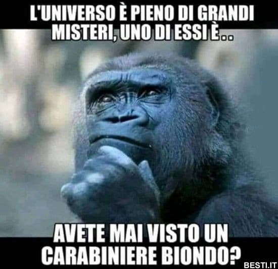 Io si e posso dire io c'ero 