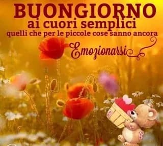 buongiorno a questo giorno 🥰🥰🥰🥰