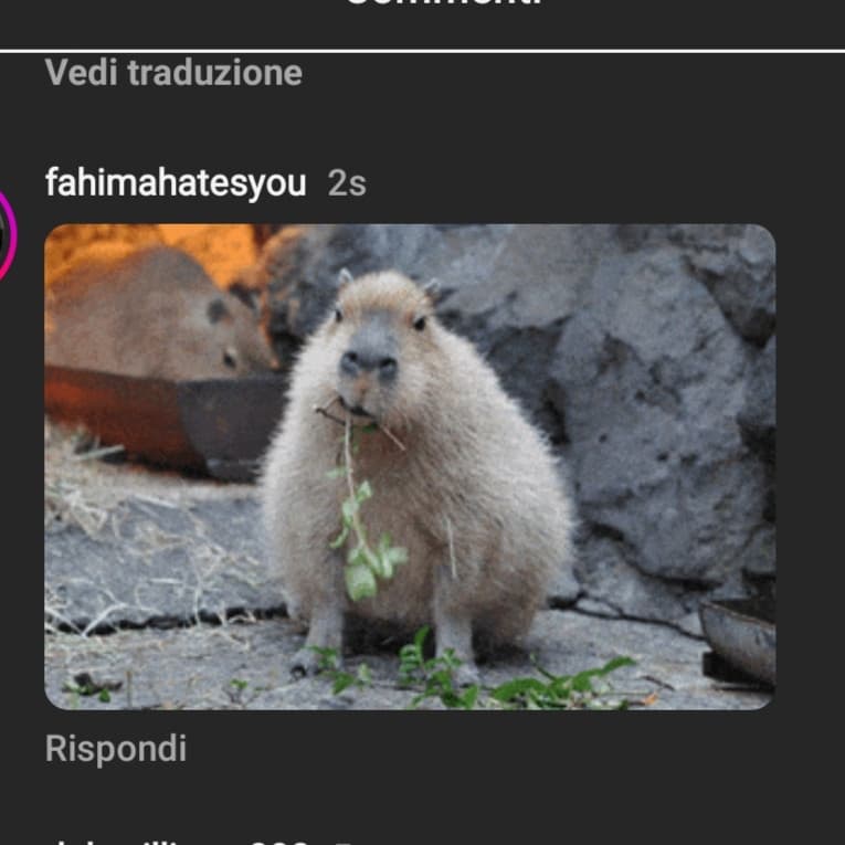 posso commentare con le gif ora sono potente 