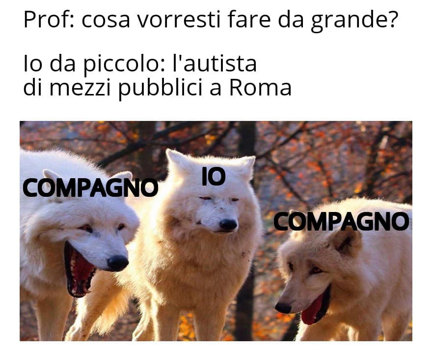 Il mestiere perfetto non esiste