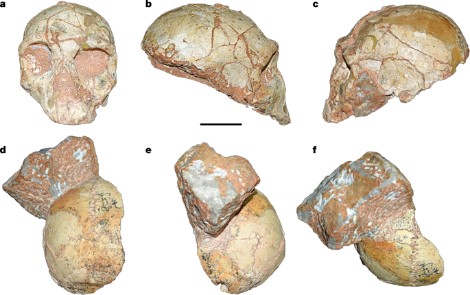 Grecia: Apidima 