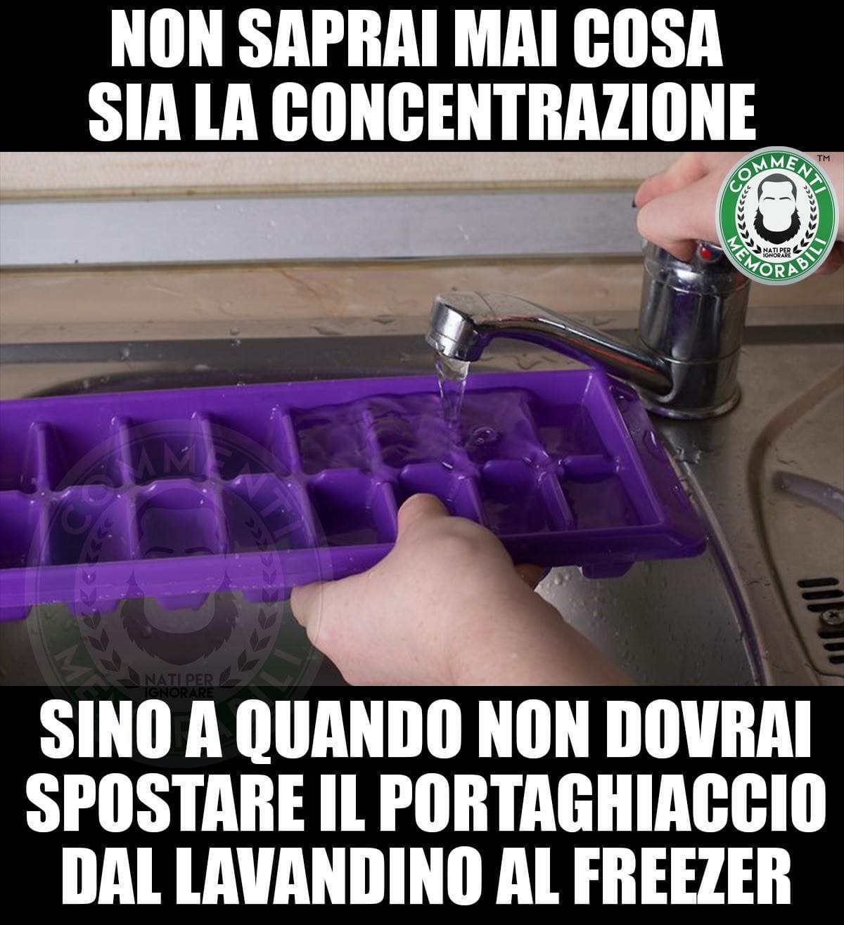 Non aggiungo altro