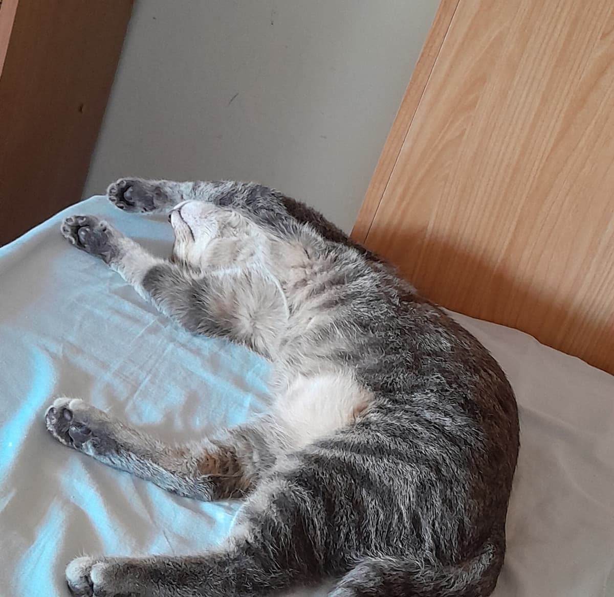 Ma come dorme?