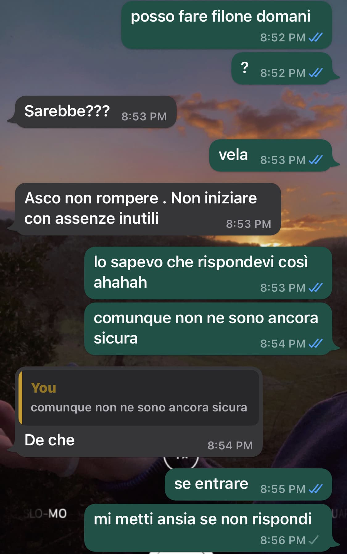 chat con mia madre. Non gli arriva l’ultimo messaggio. Ansia 