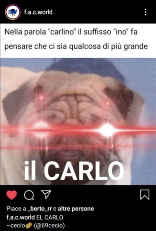 Non pensavo che questo mio aborto di meme finisse su Instagram. 