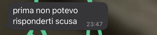 rispondere ad almeno uno dei 7 messaggi che le ho inviato❌ dire che non è riuscita a rispondermi senza aggiungere altro✅