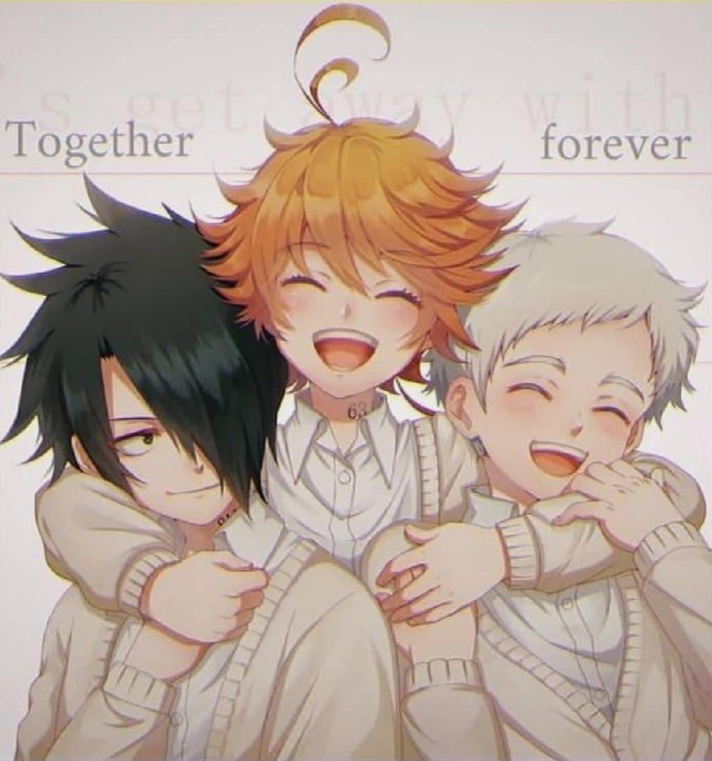 Chi ha visto The promised neverland? 