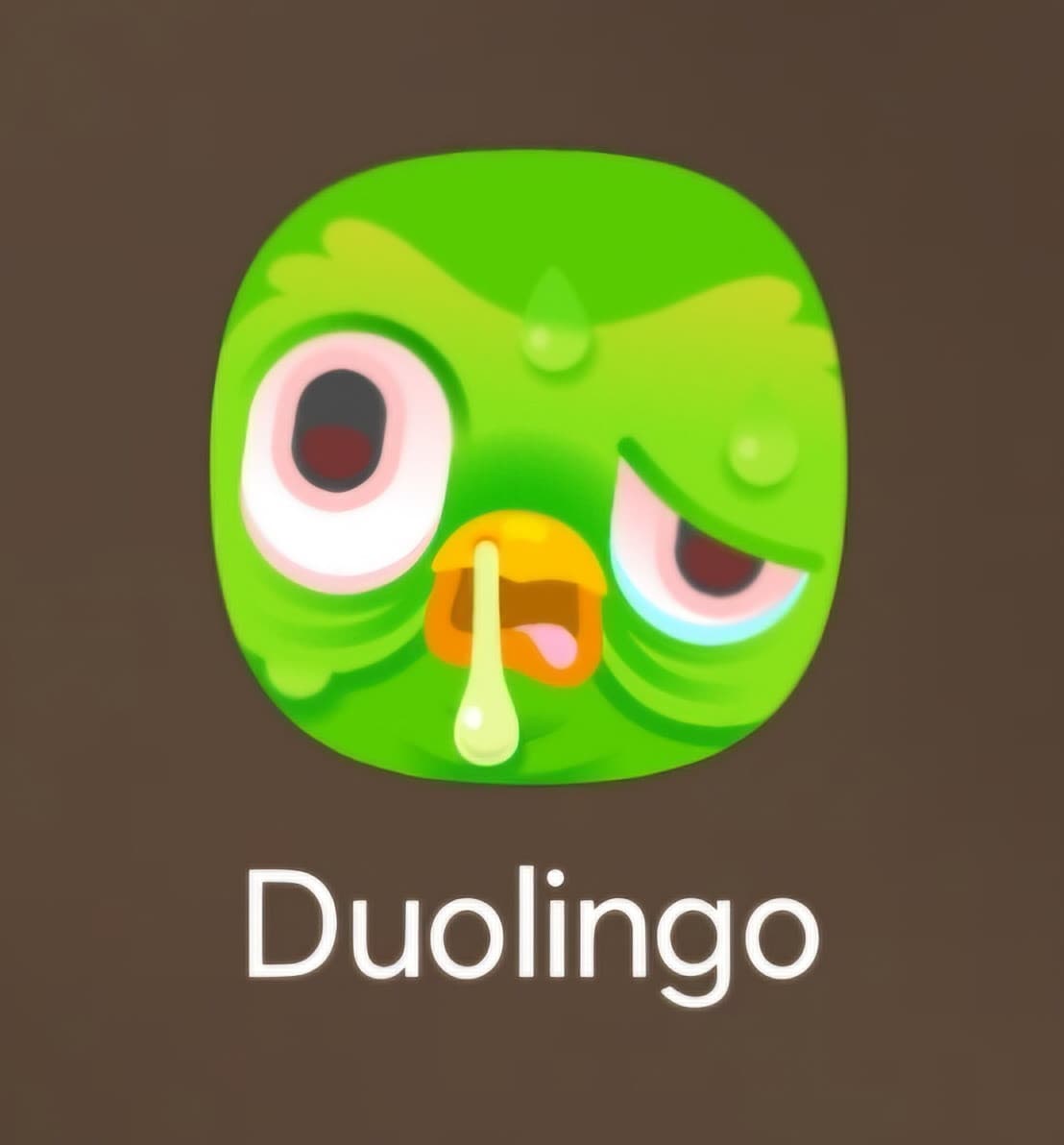 mi sento come l'app di duolingo sinceramente