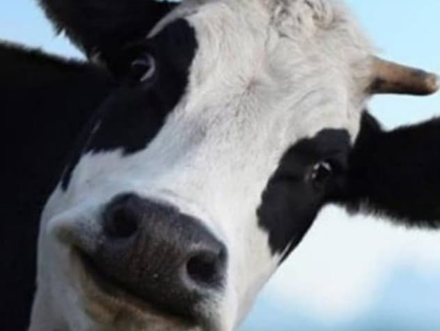 Tra pochi giorni avrò gli esami e sono distrutto psicologicamente