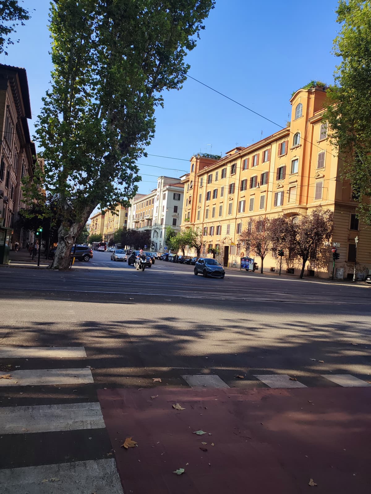 Oggi a termini correndo per prendere il treno ho gridato VIVA IL COMUNISMO 🥰🥰