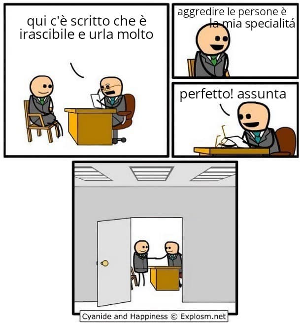 Come immagino il colloquio di lavoro di alcune prof (che ho avuto)