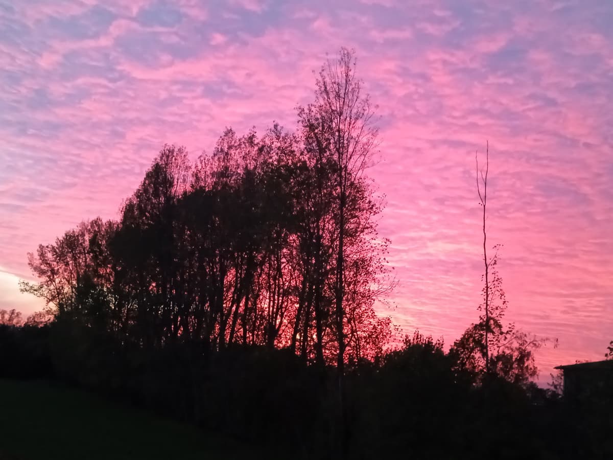 Questa foto del tramonto è di qualche settimana fa😍