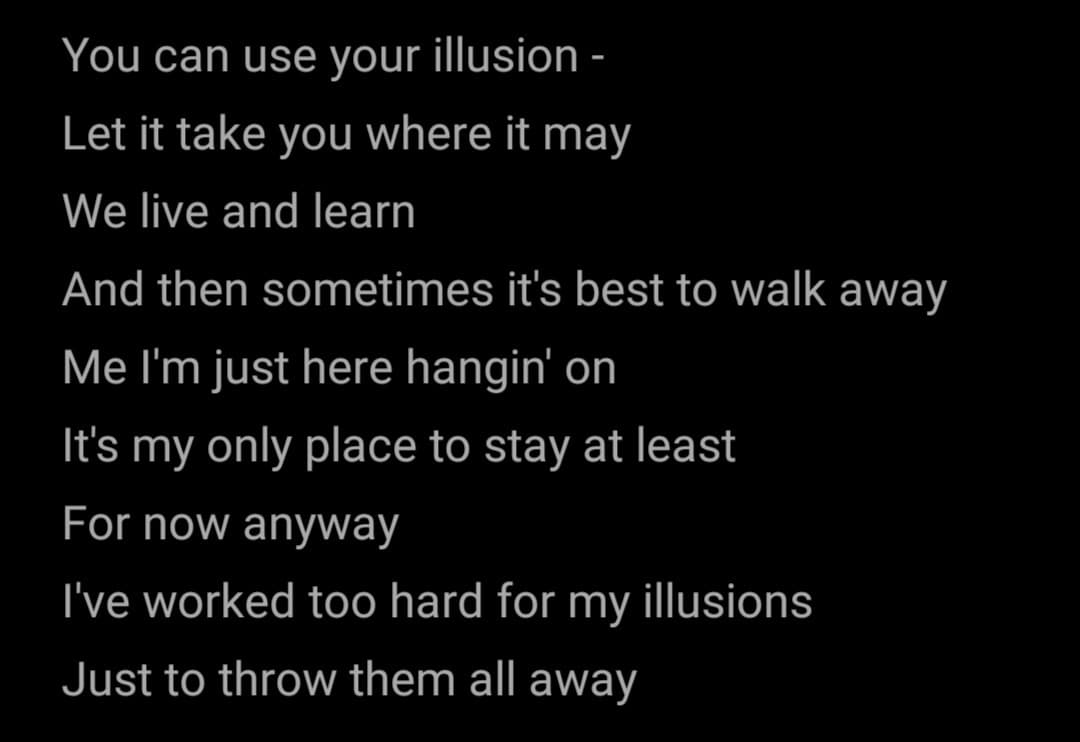 Use Your Illusion