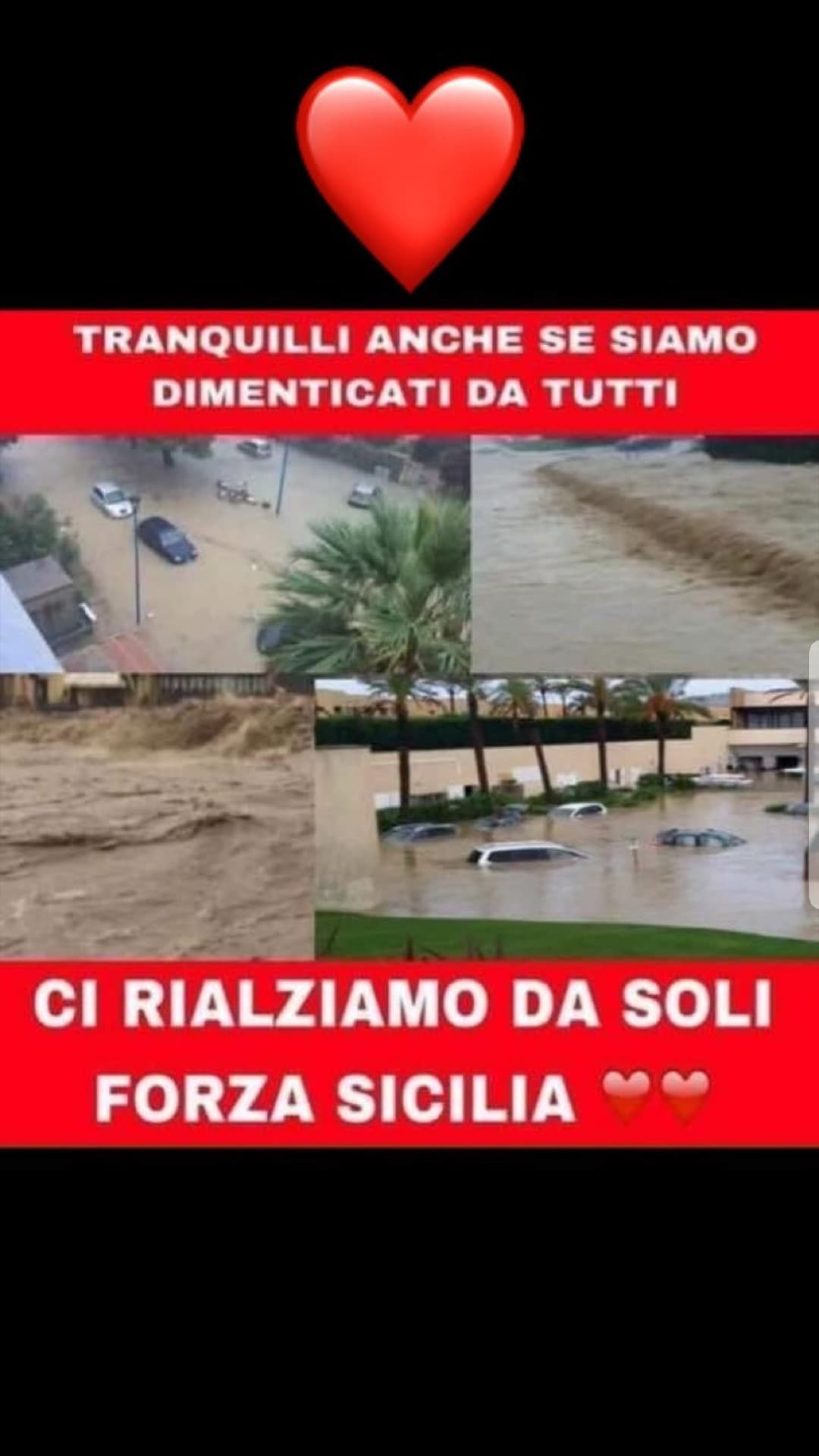 Orgogliosa di essere Terrona❤