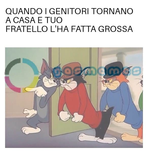 Pura verità 