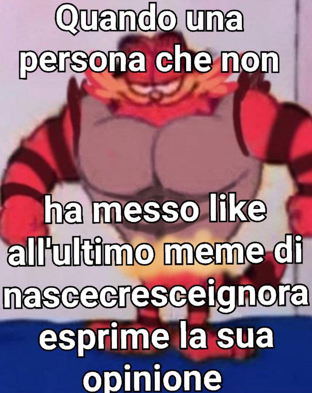 nascecresceignora fa i migliori meme del mondo... STONKS???????????????????????????