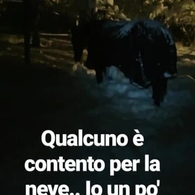 Joy contenta, io meno di dover spalare neve anche in paddock ??♀️