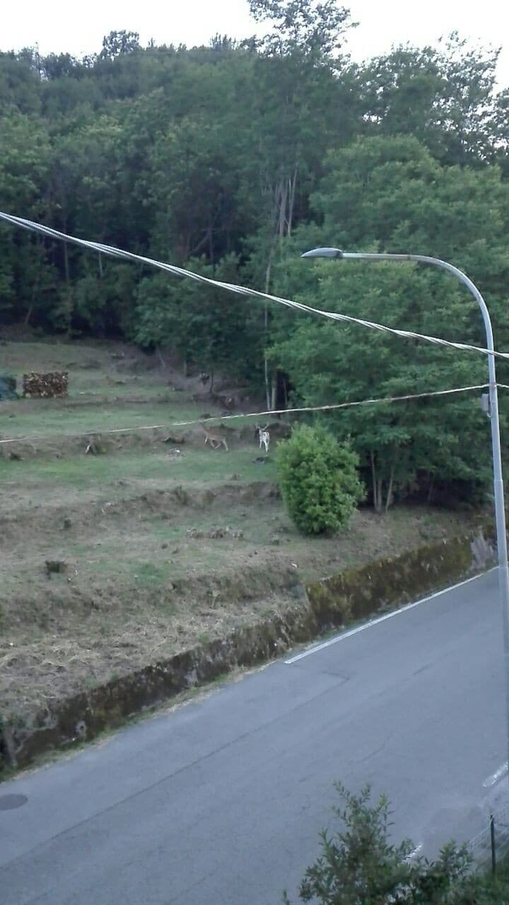 davanti casa