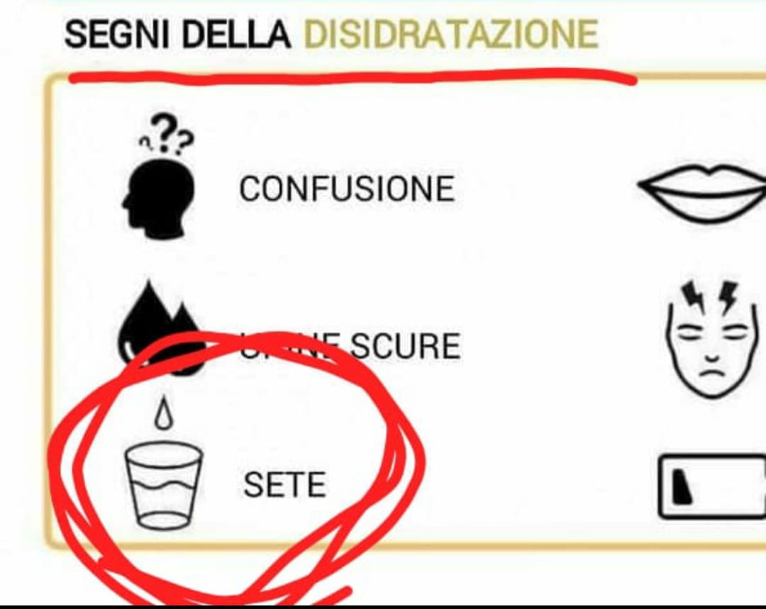 Raga voi lo sapevate? No perché sta cosa mi ha sconvolto l'esistenza?