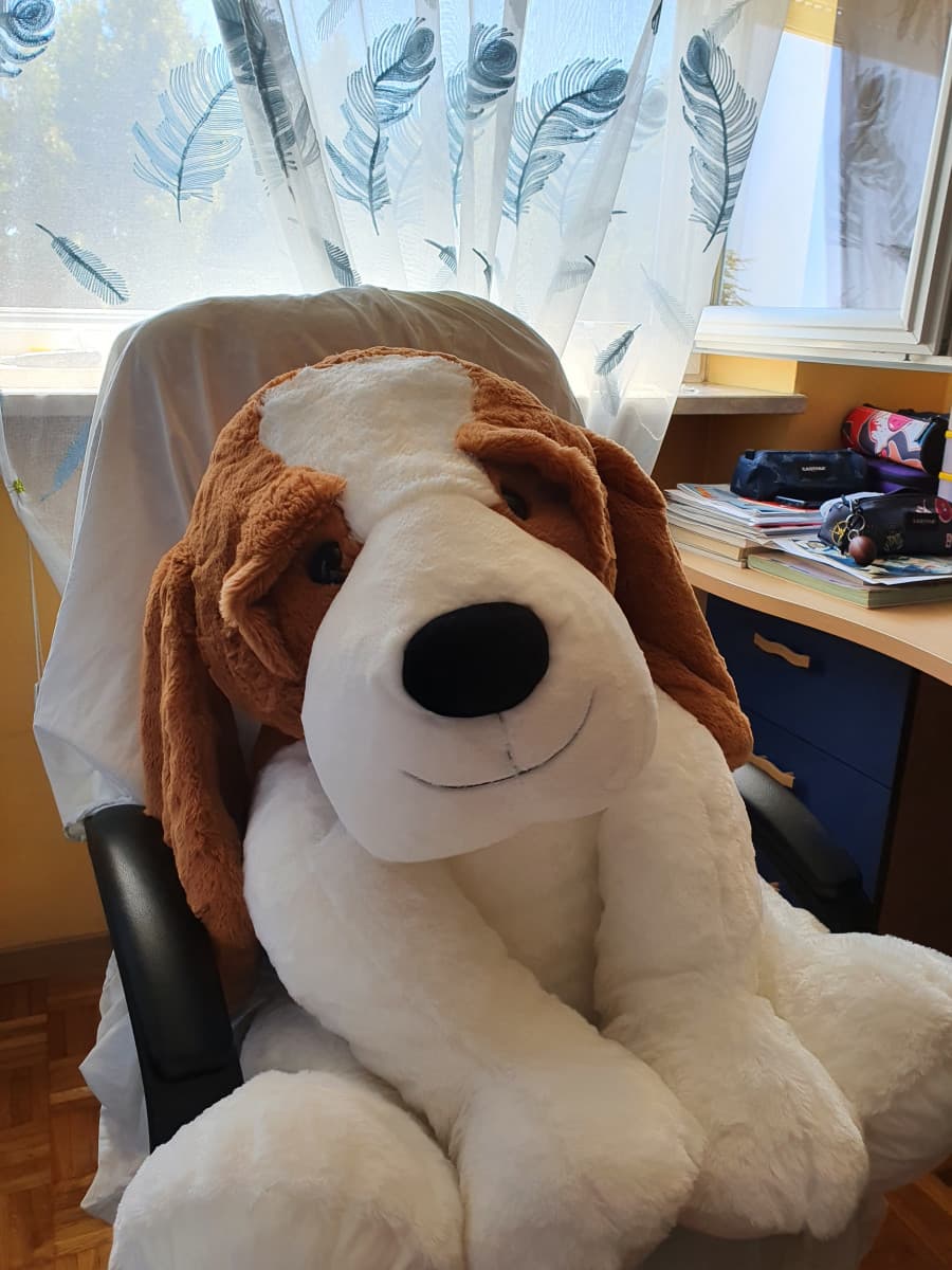 Se dovessi fare una videolezione, dite che i prof si accorgerebbero che sta un peluche gigante seduto al mio posto??‍♀️