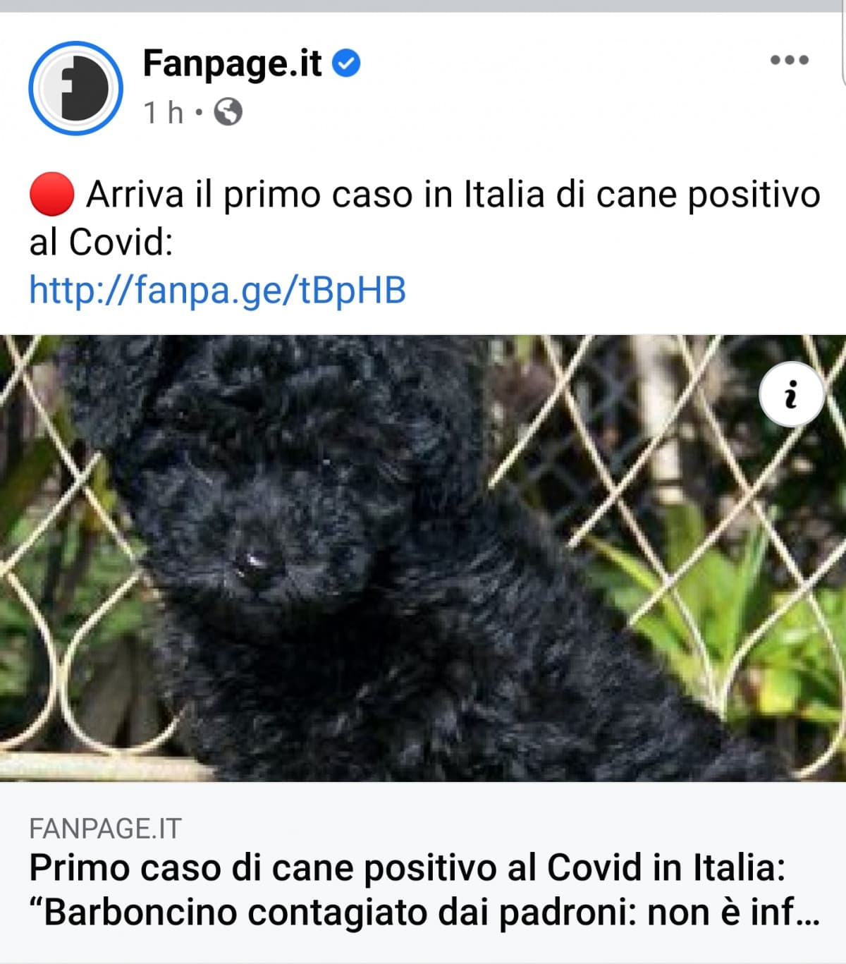 ?"Dacci oggi il nostro panico quotidiano"?